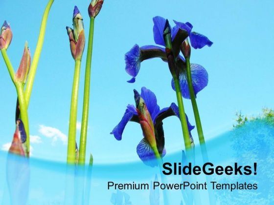 iries_flower_with_blue_background_powerpoint_templates_ppt_backgrounds_for_slides_0613_title.jpg