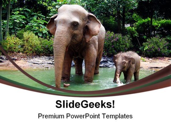 jungle_elephant_animals_powerpoint_themes_and_powerpoint_slides_0211_title.jpg