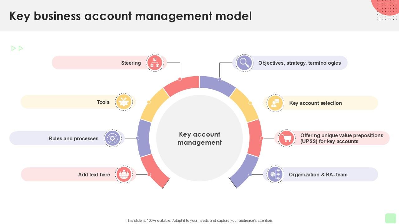 Key Business Account Management Detailed Business Account PPT Example Strategy SS V