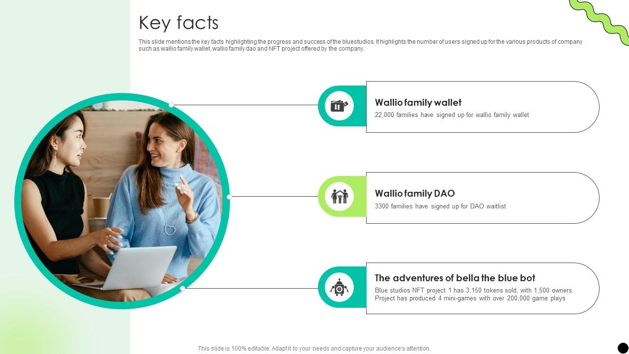 Key Facts Digital Payment Platform Pitch Deck