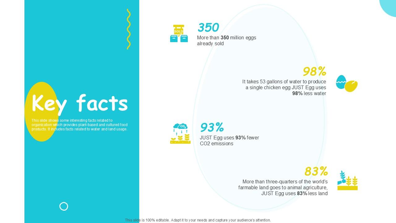 Key Facts Plant Based Eggs Developing Company Investor PPT Template