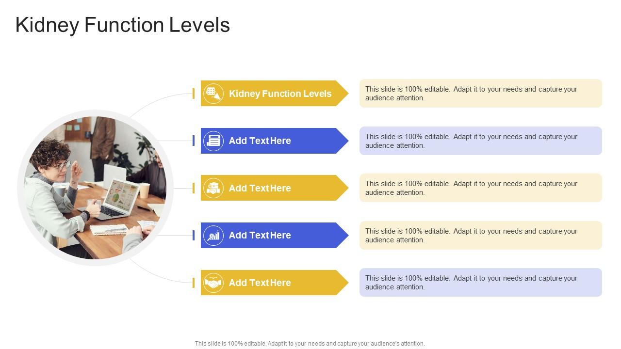 Kidney Function Levels In Powerpoint And Google Slides Cpb