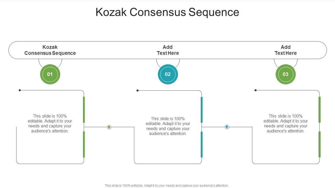 Kozak Consensus Sequence In Powerpoint And Google Slides Cpb