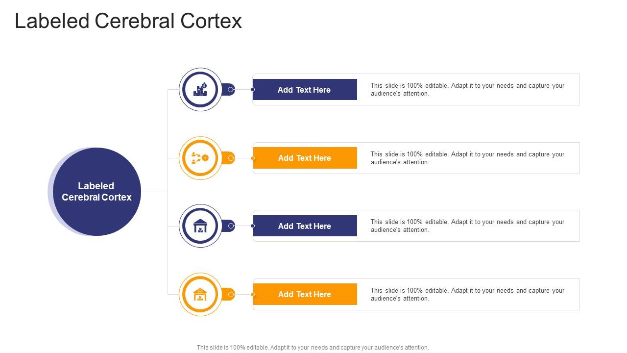 Labeled Cerebral Cortex In Powerpoint And Google Slides Cpb