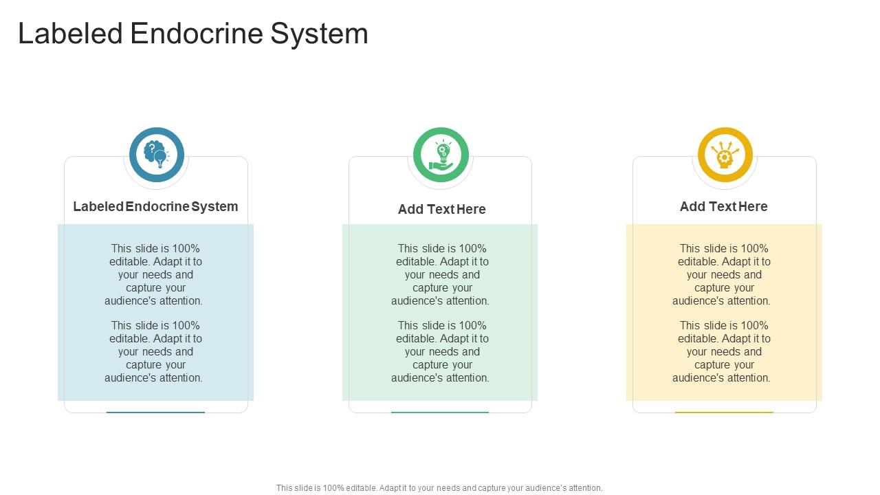 Labeled Endocrine System In Powerpoint And Google Slides Cpb