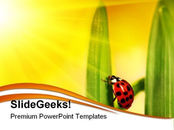 lady_bug_struggling_nature_powerpoint_themes_and_powerpoint_slides_0211_title.jpg