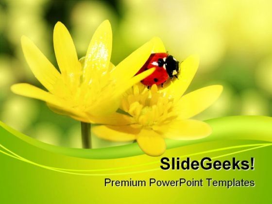 ladybird_animals_powerpoint_themes_and_powerpoint_slides_0511_title.jpg