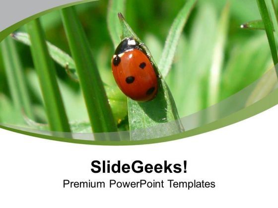 ladybug_on_the_grass_powerpoint_templates_ppt_backgrounds_for_slides_0713_title.jpg