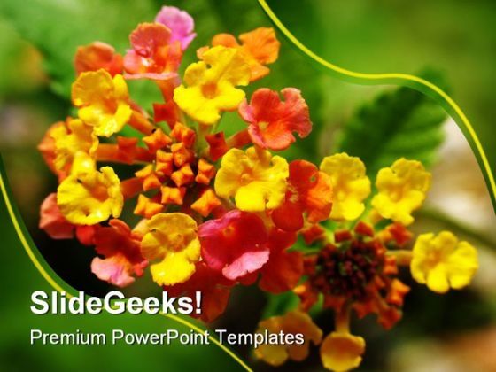 lantana_nature_powerpoint_templates_and_powerpoint_backgrounds_0311_title.jpg