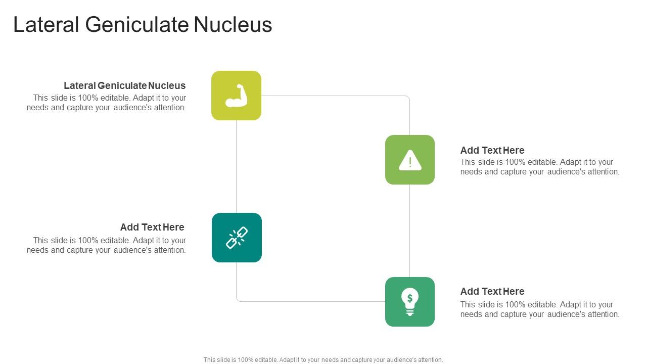 Lateral Geniculate Nucleus In Powerpoint And Google Slides Cpb