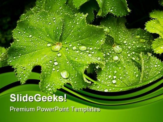 leaves_after_the_rain_nature_powerpoint_templates_and_powerpoint_backgrounds_0511_title.jpg