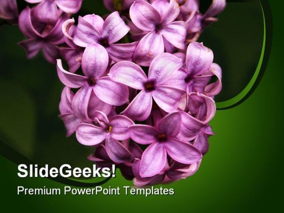 lilacs_nature_powerpoint_templates_and_powerpoint_backgrounds_0311_title.jpg