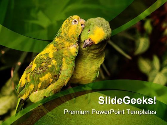 love_birds_animals_nature_powerpoint_templates_and_powerpoint_backgrounds_0111_title.jpg