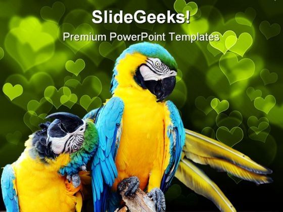 loving_macaw_animals_powerpoint_templates_and_powerpoint_backgrounds_0111_title.jpg