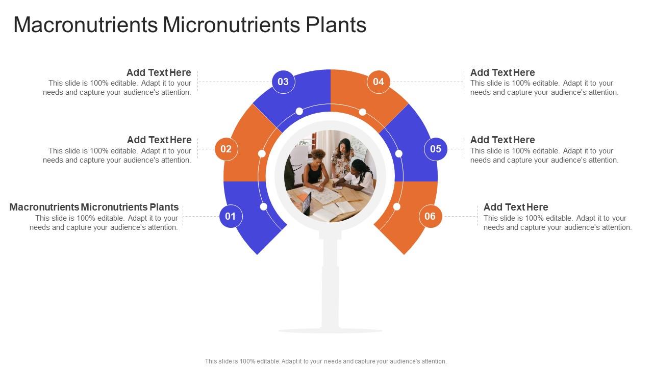 Macronutrients Micronutrients Plants In Powerpoint And Google Slides Cpb
