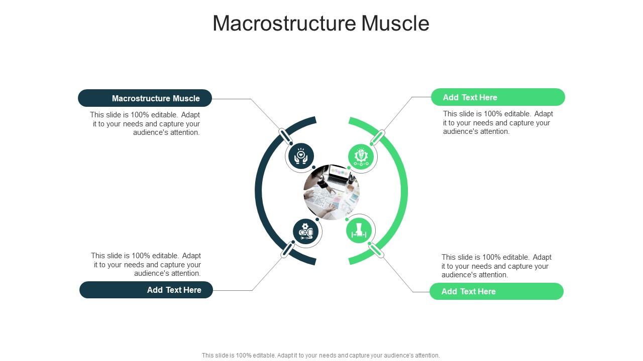 Macrostructure Muscle In Powerpoint And Google Slides Cpb