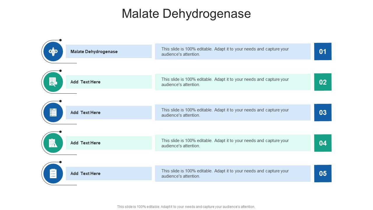 Malate Dehydrogenase In Powerpoint And Google Slides Cpb
