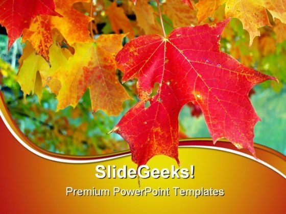 maple_leaves_nature_powerpoint_templates_and_powerpoint_backgrounds_0511_title.jpg