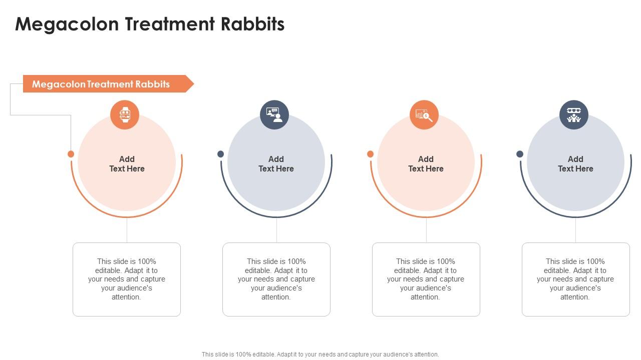 Megacolon Treatment Rabbits In Powerpoint And Google Slides Cpb