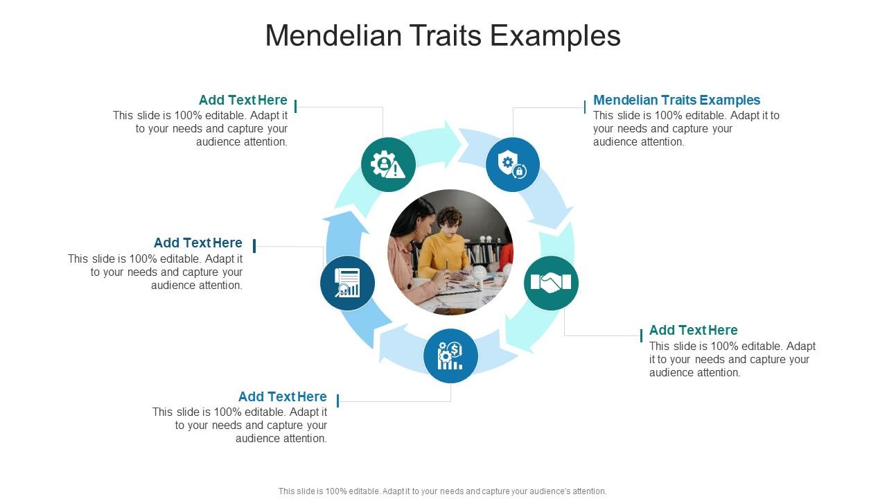 Mendelian Traits Examples In Powerpoint And Google Slides Cpb