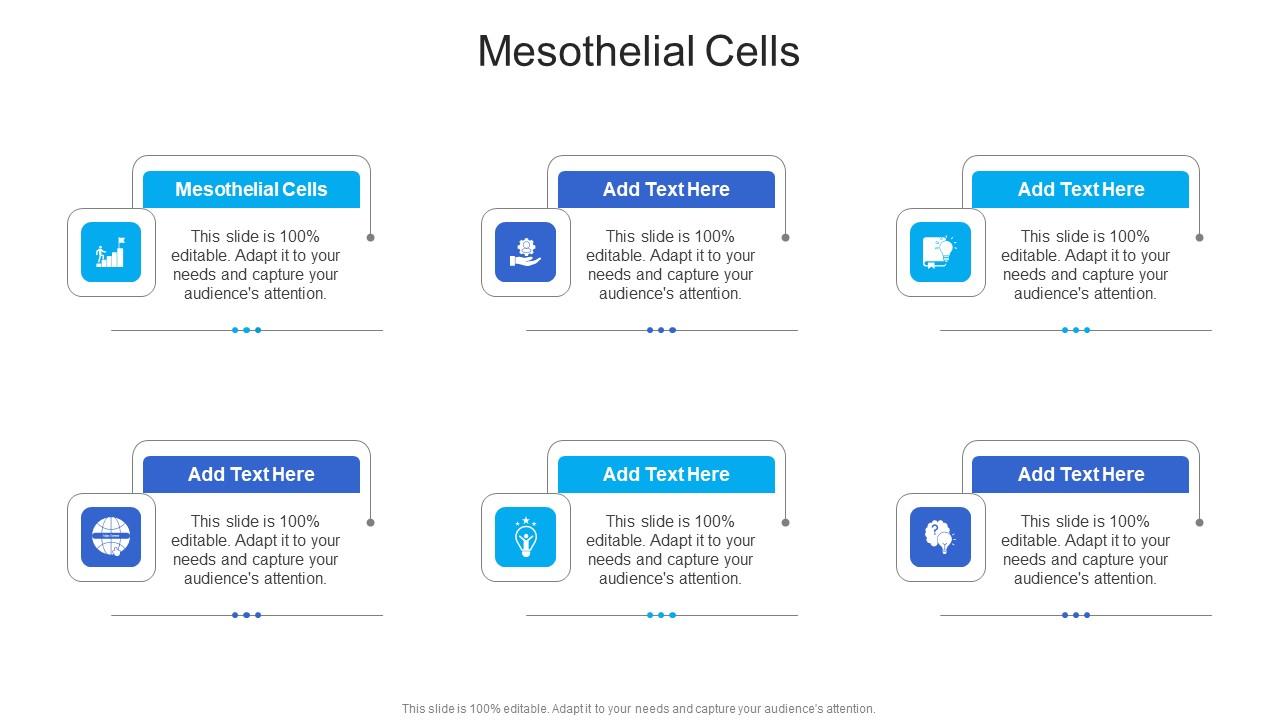 Mesothelial Cells In Powerpoint And Google Slides Cpb