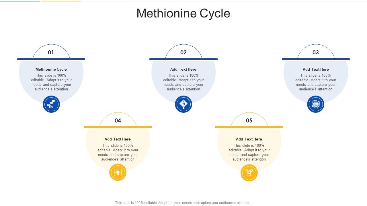 Methionine Cycle In Powerpoint And Google Slides Cpb