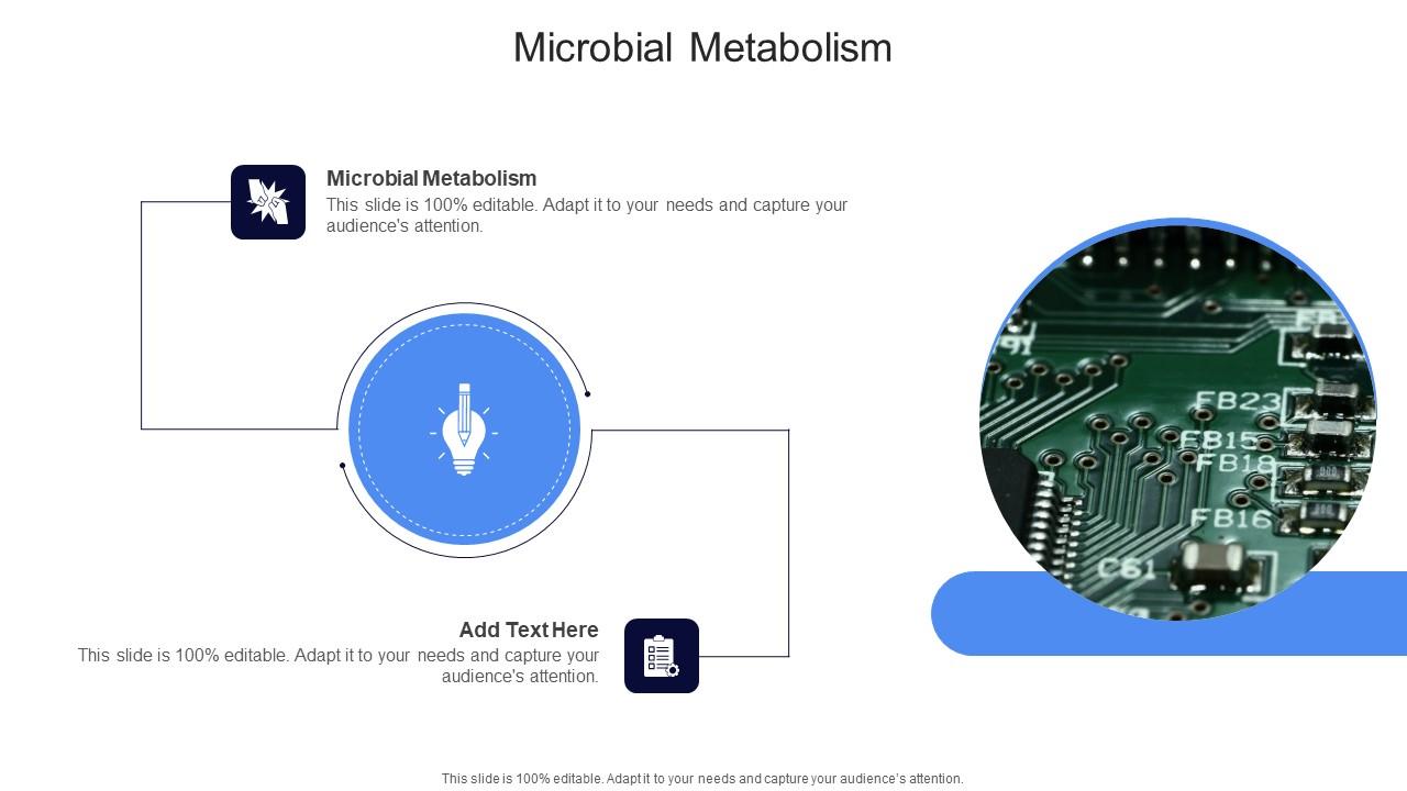Microbial Metabolism In Powerpoint And Google Slides Cpb