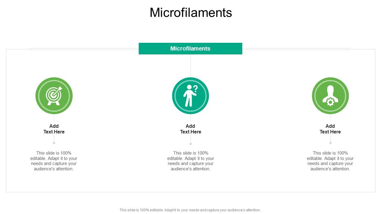 Microfilaments In Powerpoint And Google Slides Cpb