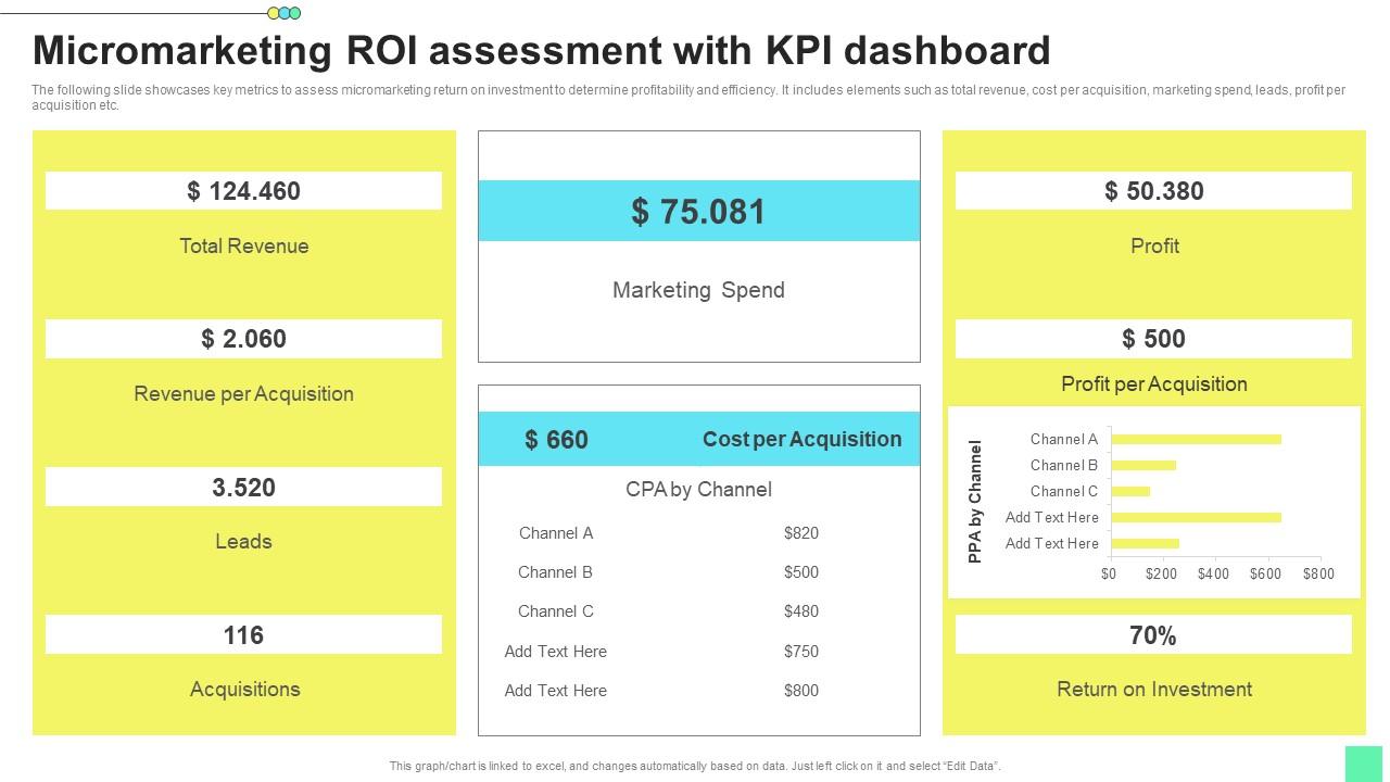 Micromarketing Roi Assessment Introduction To Niche Marketing Audience Segmentation Portrait Pdf