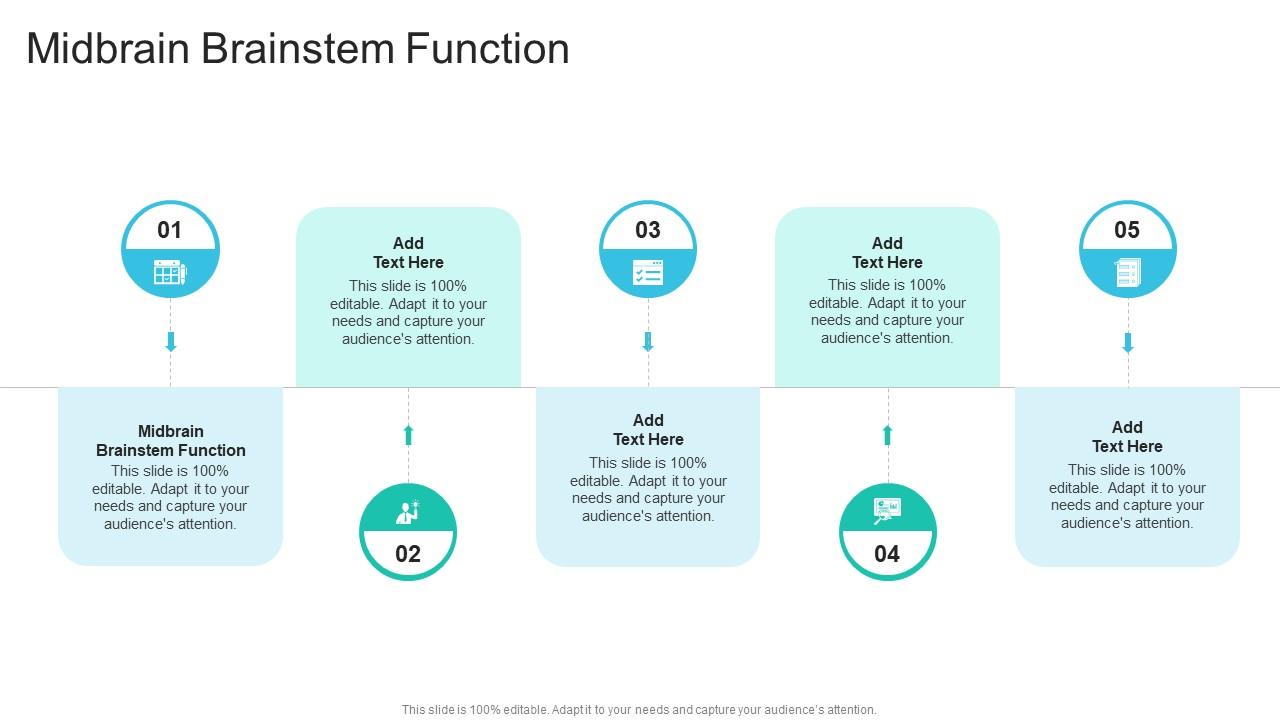 Midbrain Brainstem Function In Powerpoint And Google Slides Cpb