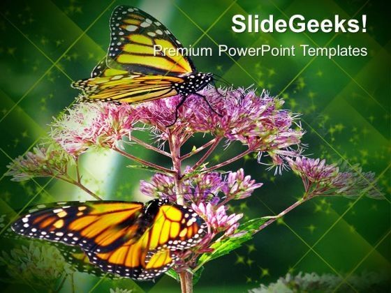 monarch_butterfly_flowers_nature_powerpoint_templates_ppt_backgrounds_for_slides_0213_title.jpg