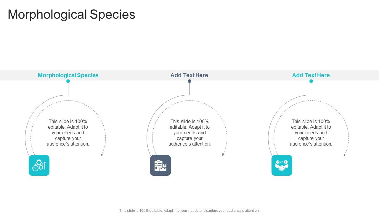 Morphological Species In Powerpoint And Google Slides Cpb