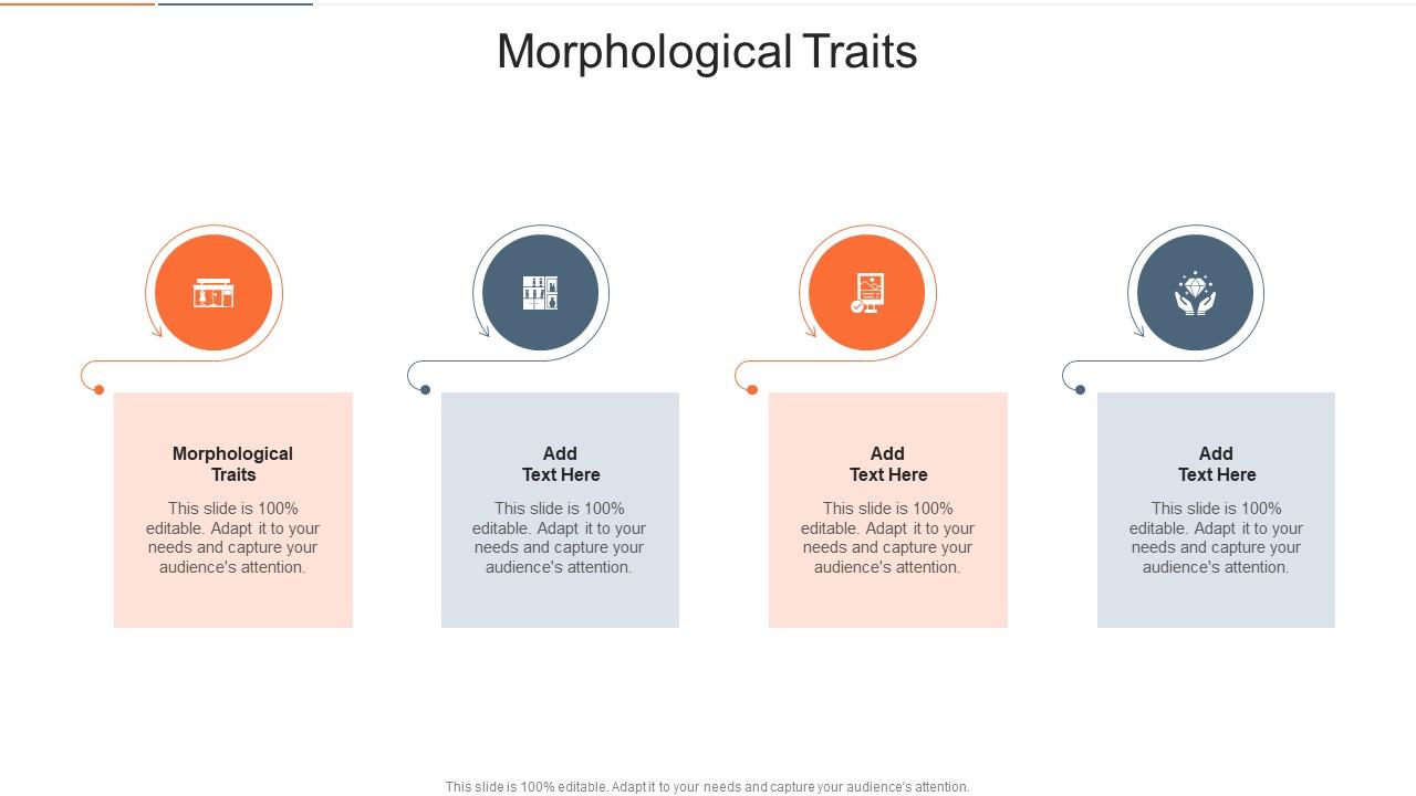 Morphological Traits In Powerpoint And Google Slides Cpb
