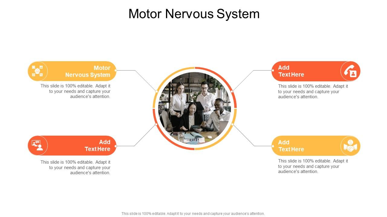 Motor Nervous System In Powerpoint And Google Slides Cpb