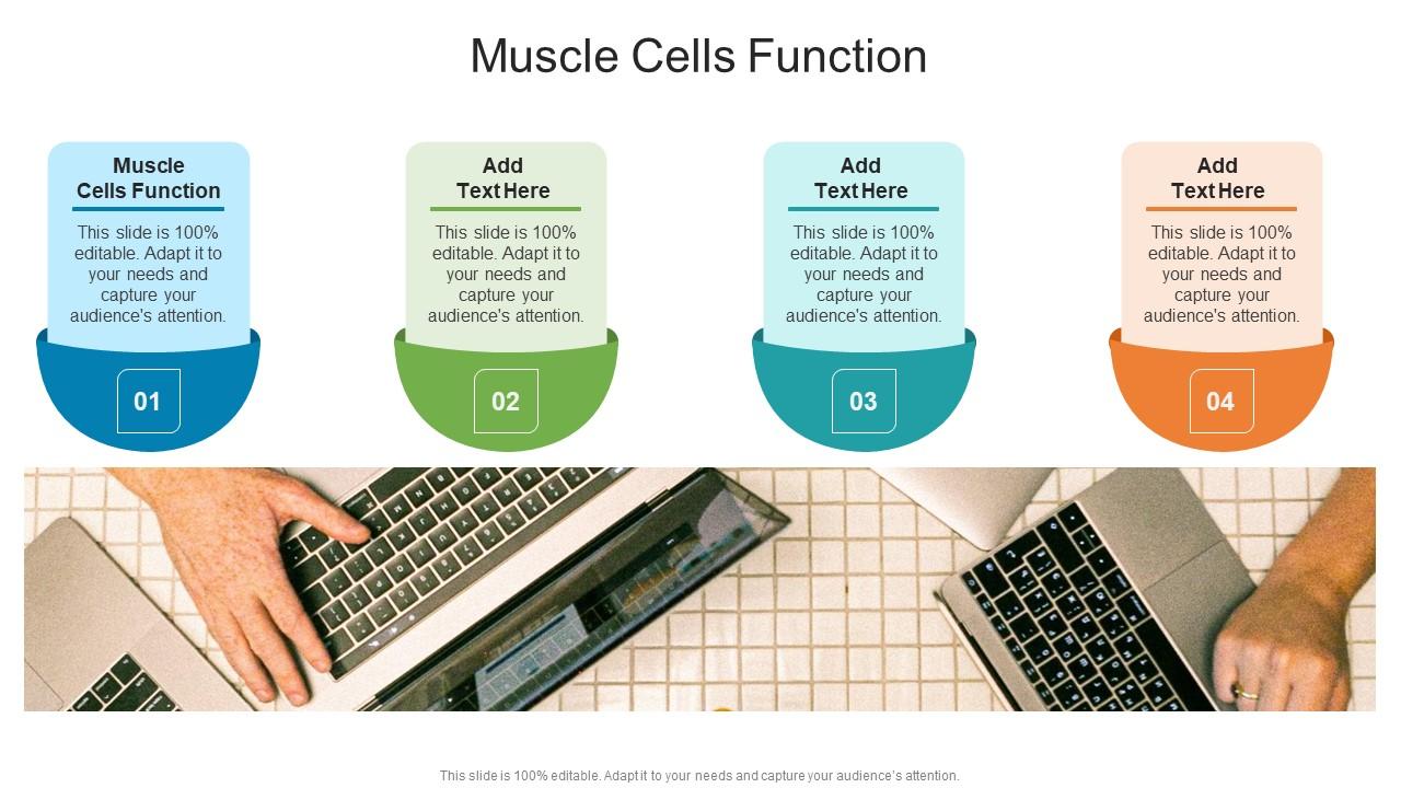 Muscle Cells Function In Powerpoint And Google Slides Cpb