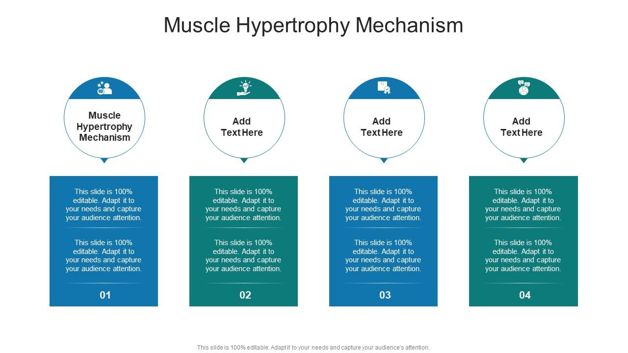 Muscle Hypertrophy Mechanism In Powerpoint And Google Slides Cpb
