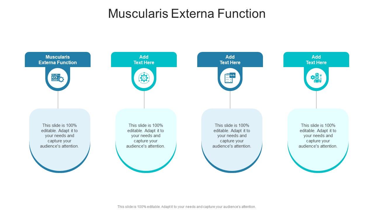 Muscularis Externa Function In Powerpoint And Google Slides Cpb