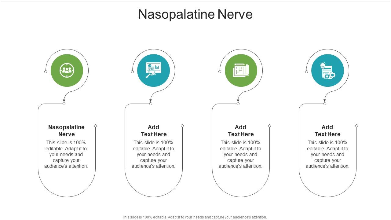 Nasopalatine Nerve In Powerpoint And Google Slides Cpb