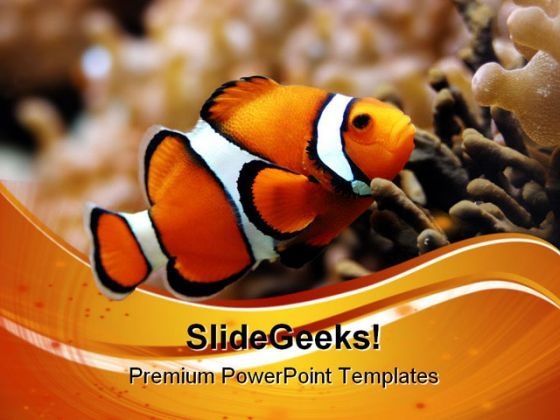 nemo_animals_powerpoint_templates_and_powerpoint_backgrounds_0511_title.jpg