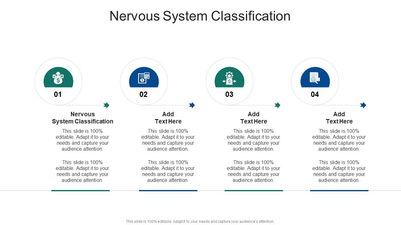 Nervous System Classification In Powerpoint And Google Slides Cpb