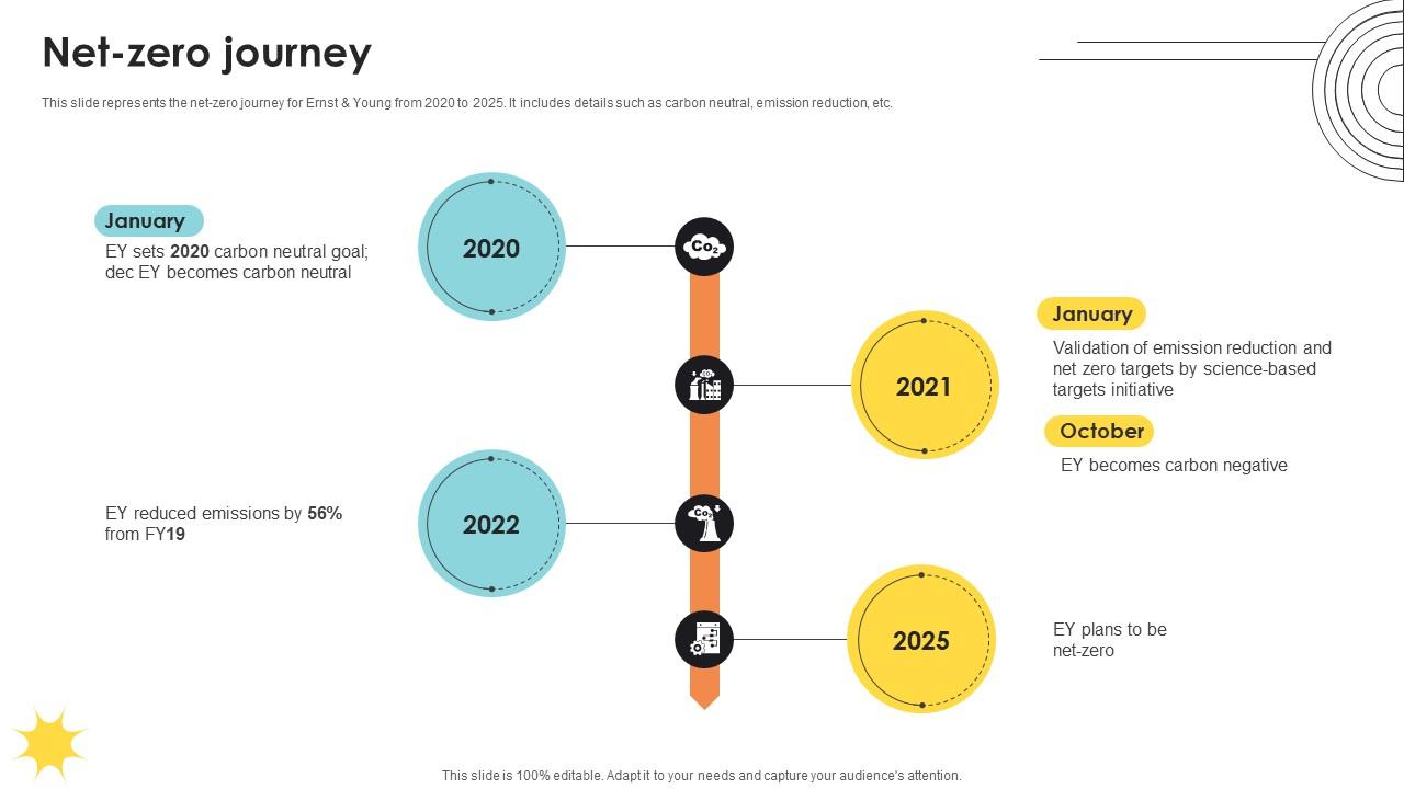 Net Zero Journey Professional Services And Tax Advisory Company Profile CP SS V