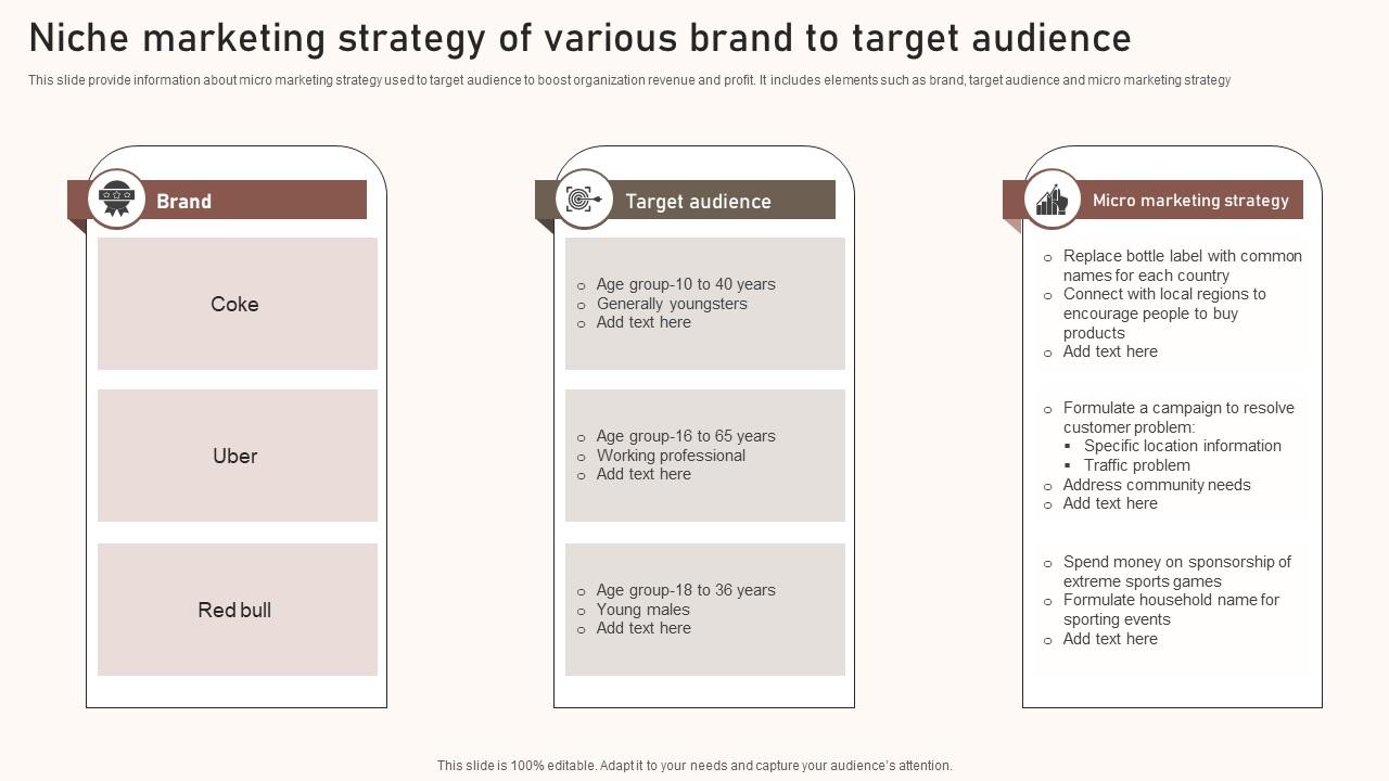 Niche Marketing Strategy Of Various Brand To Target Audience Graphics Pdf