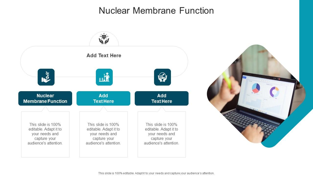Nuclear Membrane Function In Powerpoint And Google Slides Cpb