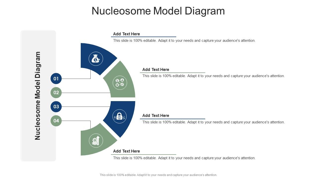 Nucleosome Model Diagram In Powerpoint And Google Slides Cpb