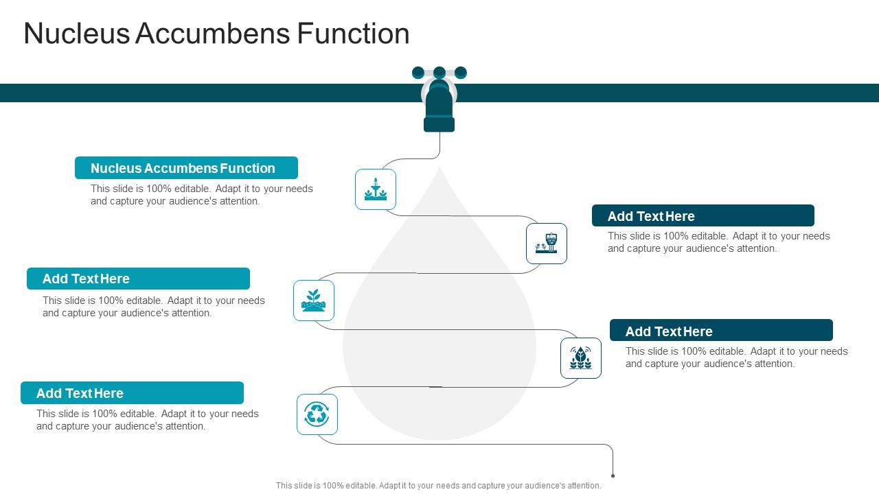 Nucleus Accumbens Function In Powerpoint And Google Slides Cpb
