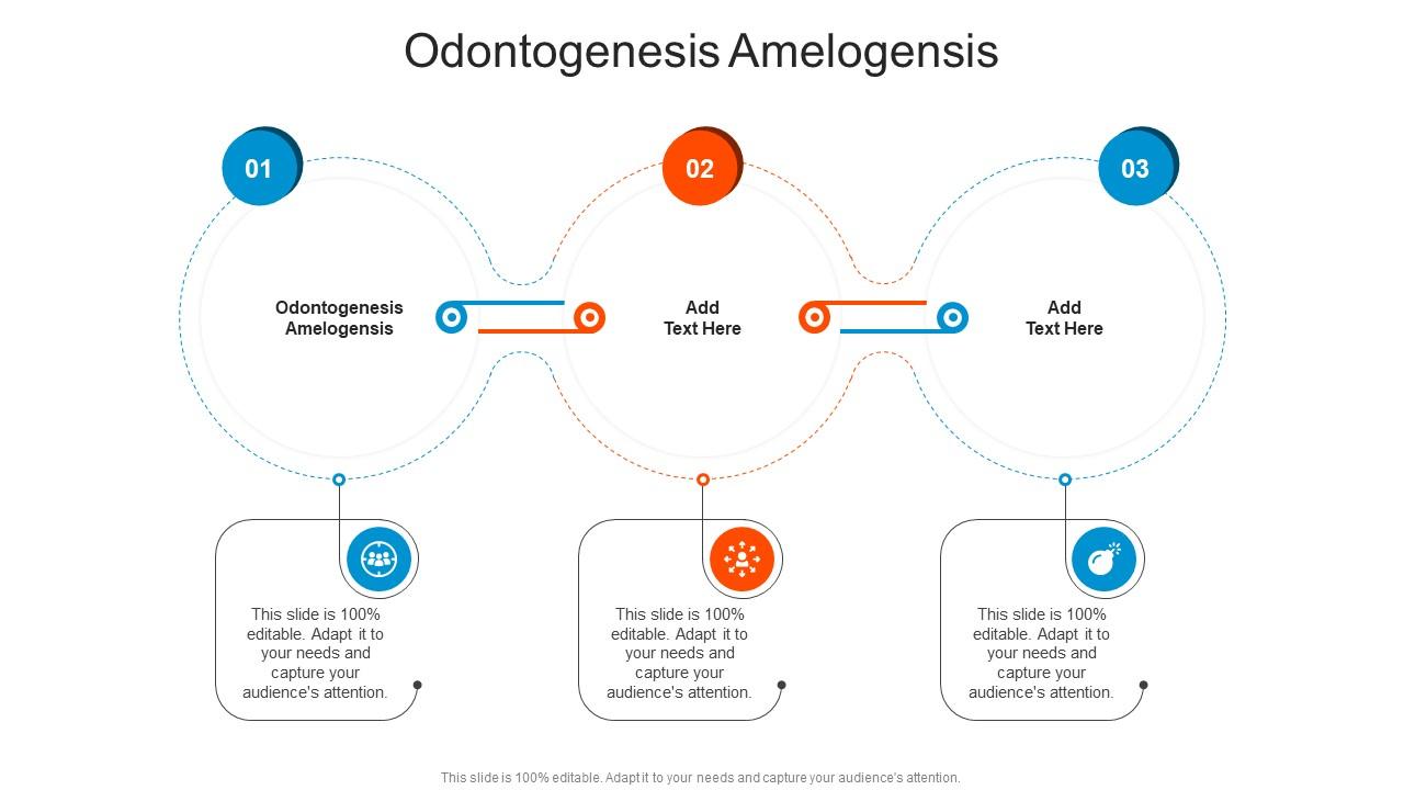Odontogenesis Amelogensis In Powerpoint And Google Slides Cpb