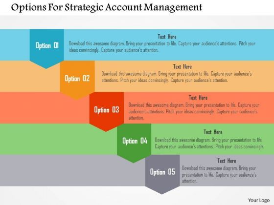 options_for_strategic_account_management_presentation_template_1.jpg