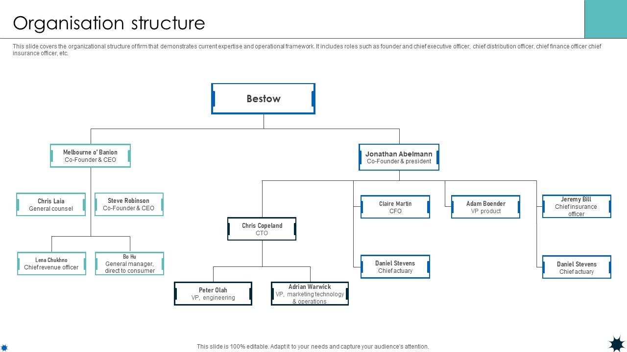 Organisation Structure Life Coverage Platform Pitch Deck