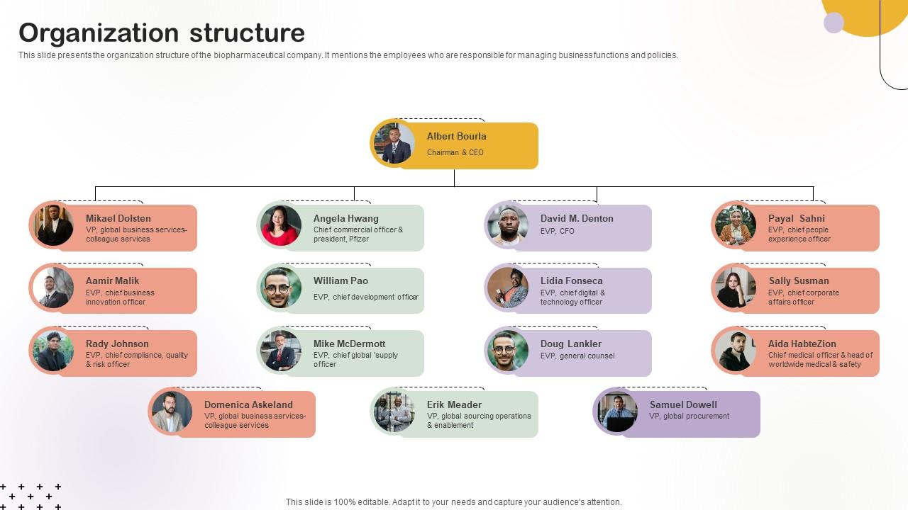 Organization Structure Medical Research Organization Pitch Deck