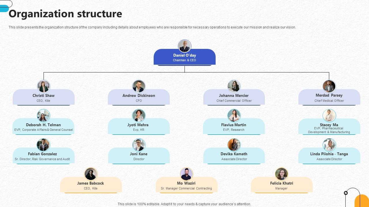Organization Structure Pharmaceutical R And D Company Pitch Deck